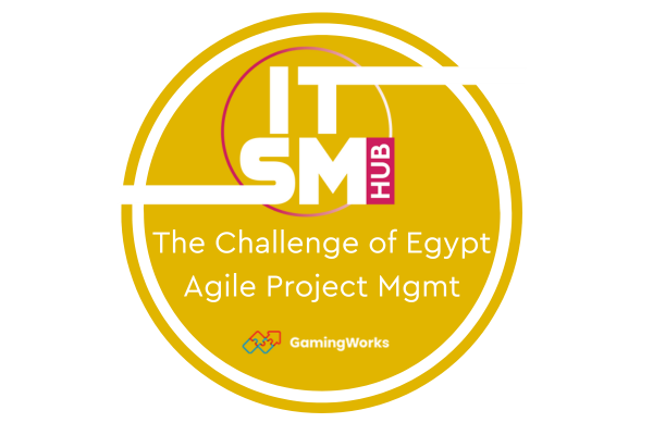 The Challenge of Egypt: Agile Project Management