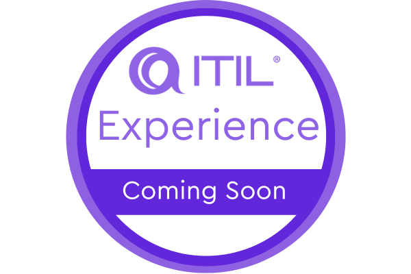 ITIL® Experience (Version 5) Course & Examination